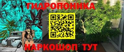 гашик Пенза