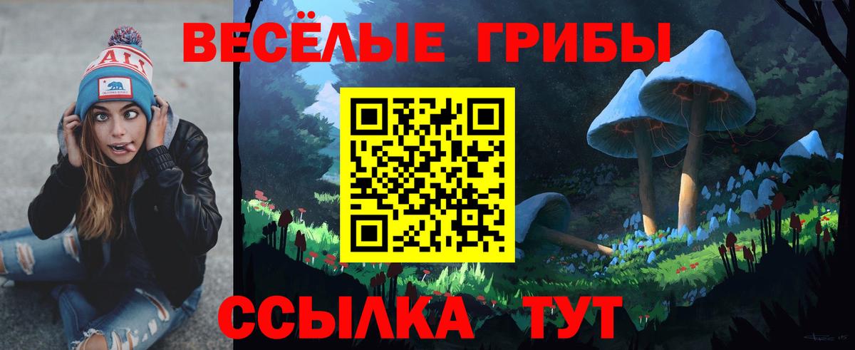 Галлюциногенные грибы GOLDEN TEACHER Ступино